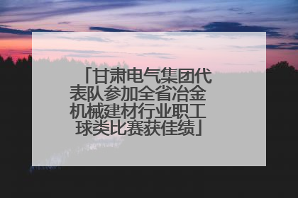 甘肃电气集团代表队参加全省冶金机械建材行业职工球类比赛获佳绩