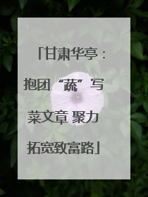 甘肃华亭：抱团“蔬”写菜文章 聚力拓宽致富路