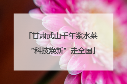 甘肃武山千年浆水菜“科技焕新”走全国