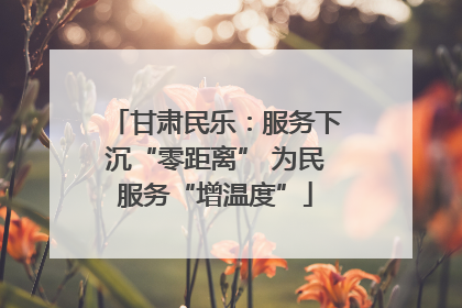 甘肃民乐：服务下沉“零距离” 为民服务“增温度”