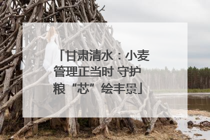 甘肃清水：小麦管理正当时 守护粮“芯”绘丰景