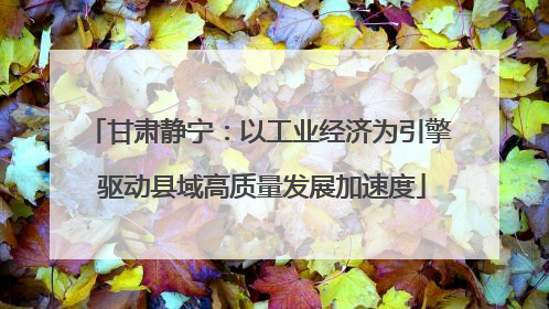 甘肃静宁：以工业经济为引擎 驱动县域高质量发展加速度