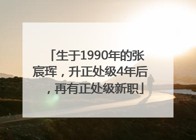 生于1990年的张宸珲，升正处级4年后，再有正处级新职