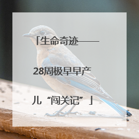 生命奇迹——28周极早早产儿“闯关记”