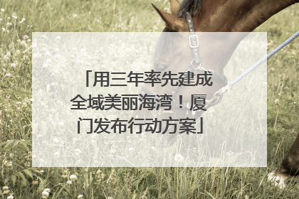 用三年率先建成全域美丽海湾！厦门发布行动方案