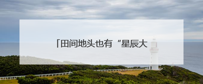 田间地头也有“星辰大海”——三位“00后”新农人的夏收故事