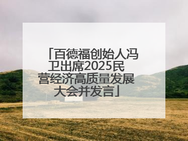 百德福创始人冯卫出席2025民营经济高质量发展大会并发言