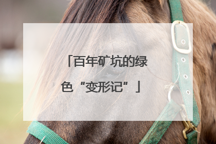 百年矿坑的绿色“变形记”
