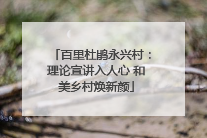 百里杜鹃永兴村：理论宣讲入人心 和美乡村焕新颜