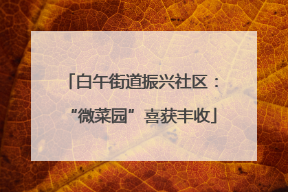 白午街道振兴社区：“微菜园”喜获丰收