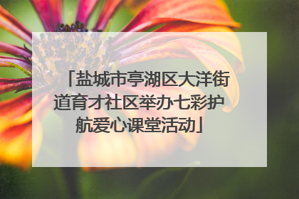 盐城市亭湖区大洋街道育才社区举办七彩护航爱心课堂活动