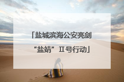 盐城滨海公安亮剑“盐靖”Ⅱ号行动