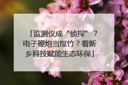 监测仪成“侦探”？电子鞭炮当爆竹？看新乡科技赋能生态环保