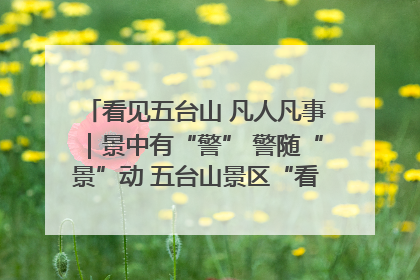 看见五台山 凡人凡事｜景中有“警” 警随“景”动 五台山景区“看得见”的平安守护