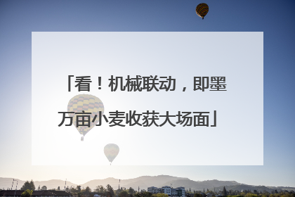 看！机械联动，即墨万亩小麦收获大场面