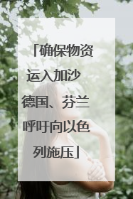 确保物资运入加沙 德国、芬兰呼吁向以色列施压