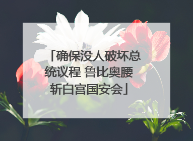 确保没人破坏总统议程 鲁比奥腰斩白宫国安会