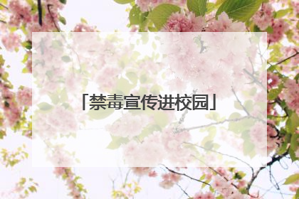 禁毒宣传进校园
