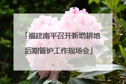 福建南平召开新增耕地后期管护工作现场会
