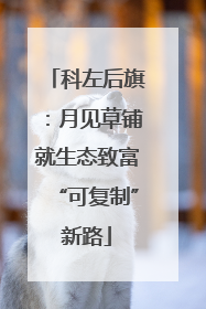 科左后旗：月见草铺就生态致富“可复制”新路
