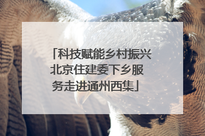 科技赋能乡村振兴 北京住建委下乡服务走进通州西集