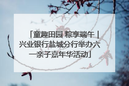 童趣田园 粽享端午｜兴业银行盐城分行举办六一亲子嘉年华活动