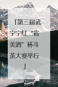 第三届武宁宁红“省美酒”杯斗茶大赛举行