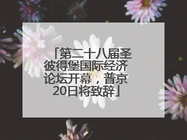 第二十八届圣彼得堡国际经济论坛开幕，普京20日将致辞