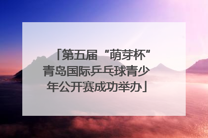 第五届“萌芽杯”青岛国际乒乓球青少年公开赛成功举办