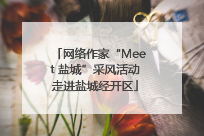网络作家“Meet 盐城”采风活动走进盐城经开区