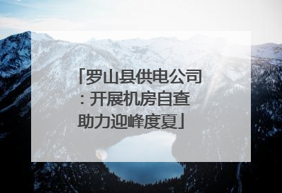 罗山县供电公司：开展机房自查 助力迎峰度夏