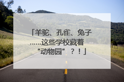 羊驼、孔雀、兔子……这些学校藏着 “动物园”？！