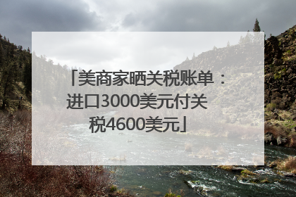 美商家晒关税账单：进口3000美元付关税4600美元