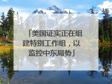 美国证实正在组建特别工作组，以监控中东局势
