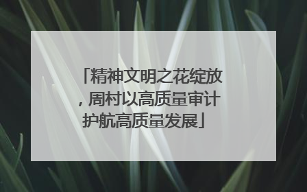 精神文明之花绽放，周村以高质量审计护航高质量发展