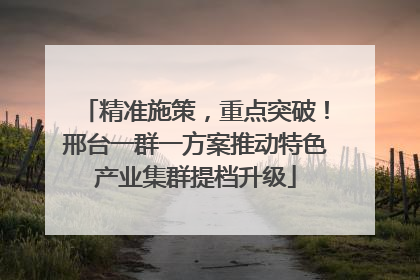 精准施策，重点突破！邢台一群一方案推动特色产业集群提档升级