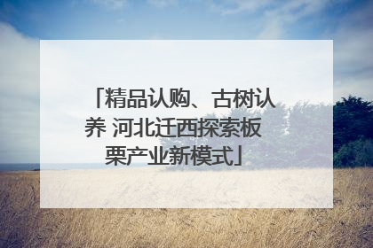 精品认购、古树认养 河北迁西探索板栗产业新模式