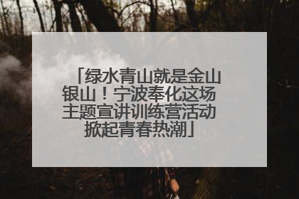 绿水青山就是金山银山！宁波奉化这场主题宣讲训练营活动掀起青春热潮