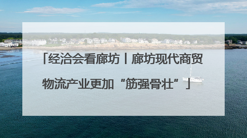经洽会看廊坊丨廊坊现代商贸物流产业更加“筋强骨壮”