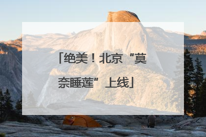 绝美！北京“莫奈睡莲”上线