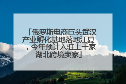 俄罗斯电商巨头武汉产业孵化基地落地江夏，今年预计入驻上千家湖北跨境卖家