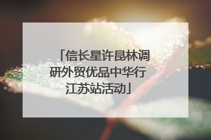 信长星许昆林调研外贸优品中华行江苏站活动
