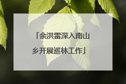 余洪雷深入南山乡开展巡林工作