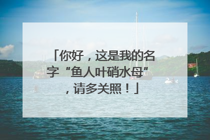 你好，这是我的名字“鱼人叶硝水母”，请多关照！
