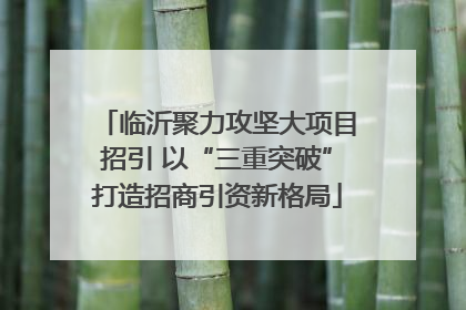 临沂聚力攻坚大项目招引 以“三重突破”打造招商引资新格局