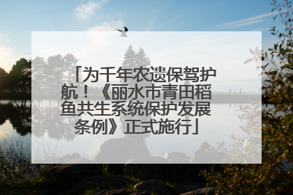为千年农遗保驾护航！《丽水市青田稻鱼共生系统保护发展条例》正式施行