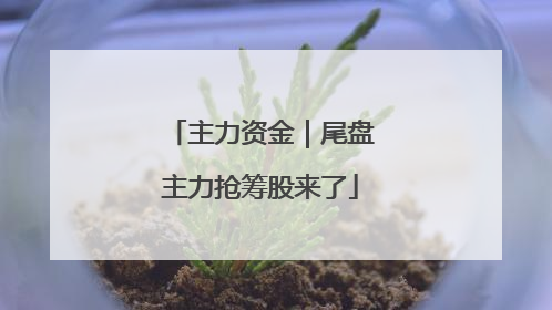 主力资金｜尾盘主力抢筹股来了