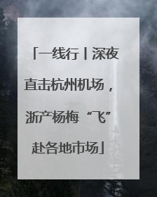 一线行丨深夜直击杭州机场，浙产杨梅“飞”赴各地市场