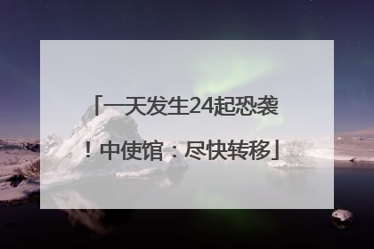 一天发生24起恐袭！中使馆：尽快转移