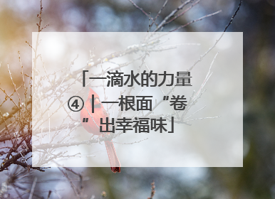一滴水的力量④｜一根面“卷”出幸福味